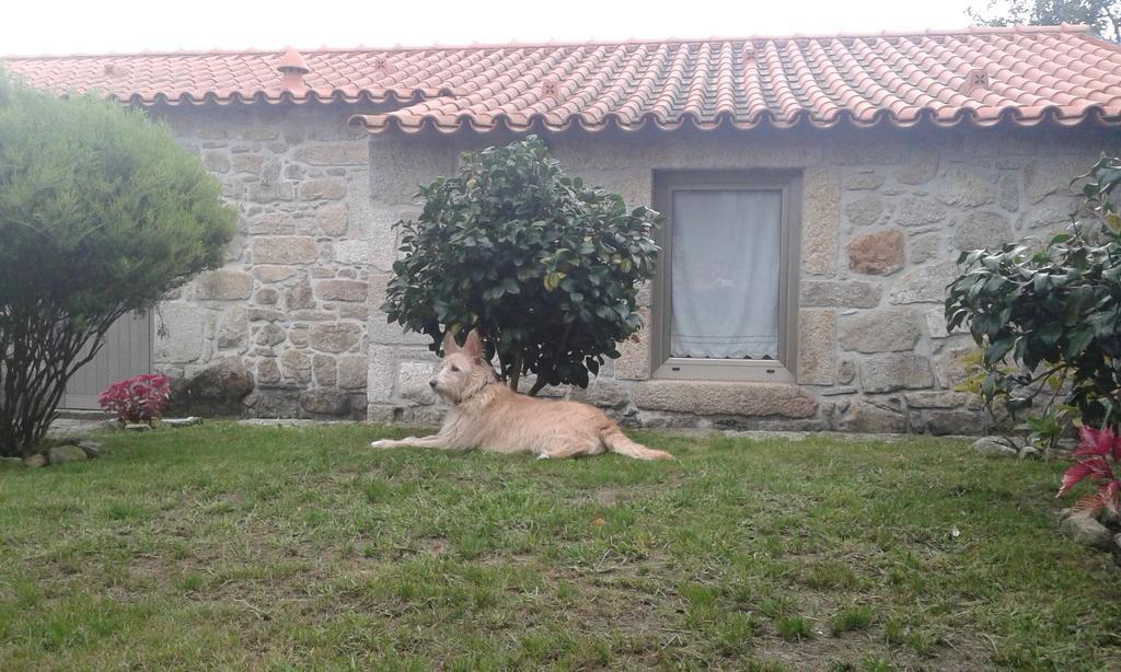 ヴィラ・ノーヴァ・デ・セルヴェイラ Casa Maria Da Assuncaoヴィラ 部屋 写真